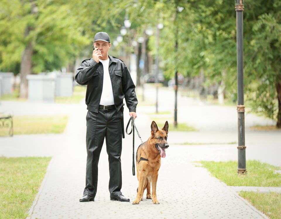 Rondes à pied avec un chien